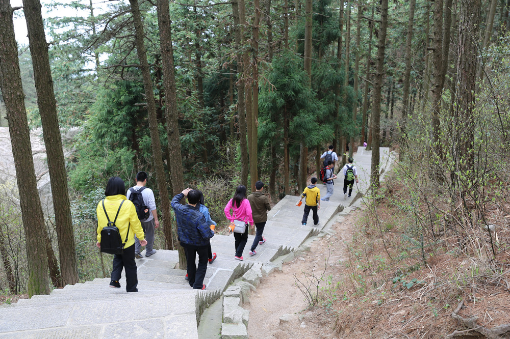 臥濤團隊風采